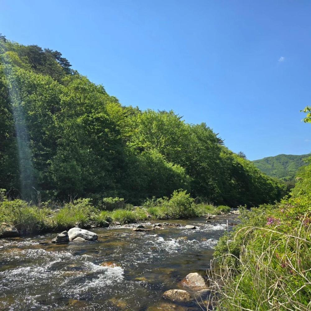 Pyeongchang Heungjeong Valley 409 Pension 外观 照片