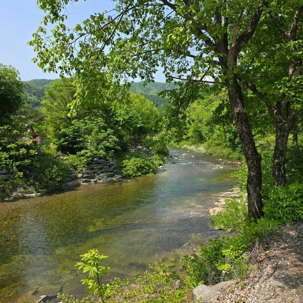 Pyeongchang Heungjeong Valley 409 Pension 外观 照片